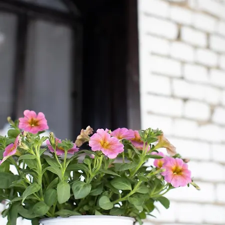 Sanremo 3* 地拉那